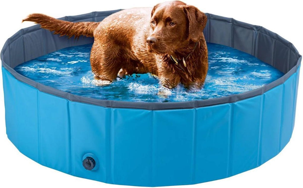 Zoofari Dog Pool