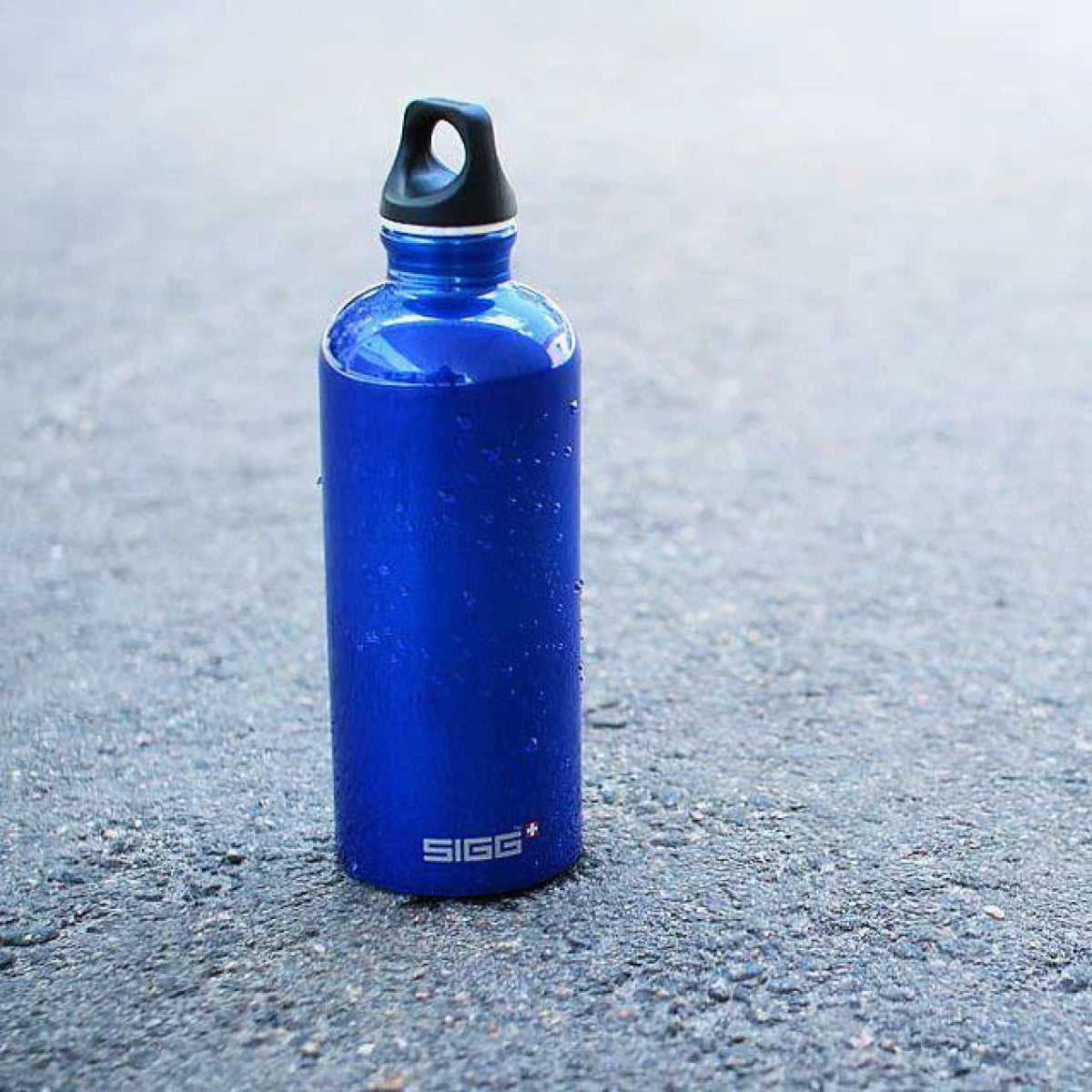 SIGG Aluminum Water Bottle