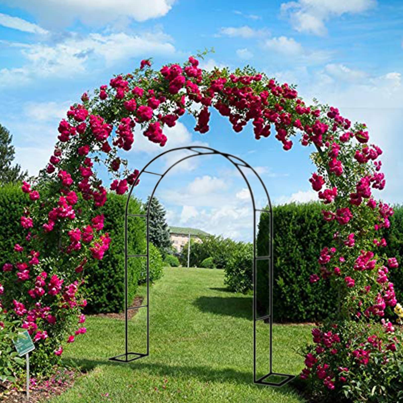 LIVARNO Rose Arch